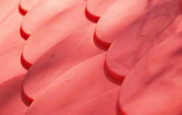 Portinode plastic roof costs